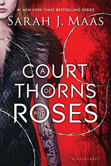 Picture of A Court of Thorns and Roses 1